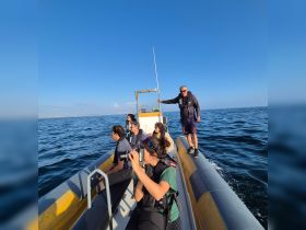 A group of guests enjoys a boat trip on the ocean, capturing memories with photography while surrounded by stunning views — perfect for adventure seekers and nature lovers.