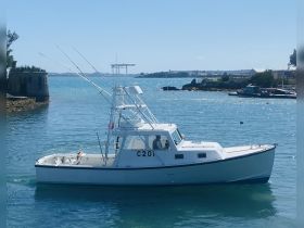 A fishing boat navigates through calm waters, showcasing its sleek design and fishing gear, perfect for a day out on the sea.