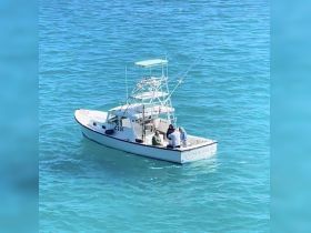 A group of people enjoys their time aboard the 'Sea Wolf' boat, surrounded by stunning turquoise waters — perfect for fishing or leisure activities.