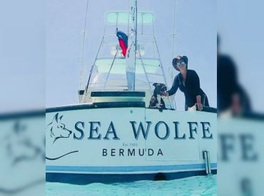 Sea Wolfe Sportfishing