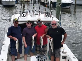 A group of four friends proudly display their catch of striped bass aboard a fishing boat, celebrating a successful day on the water.