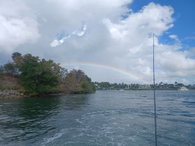 A picturesque view of a rainbow arching over the water, surrounded by lush greenery and waterfront homes — a serene moment perfect for fishing enthusiasts.