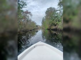 A serene view from the front of a boat navigating through a tranquil canal surrounded by lush greenery, perfect for nature lovers and peaceful outings.