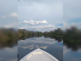 A serene view from the front of a boat, showcasing calm waters and beautiful reflections of clouds and trees — perfect for nature lovers and peaceful outings.