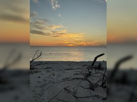 A serene sunset over the calm waters, framed by the beach and driftwood, creating a picturesque coastal scene perfect for relaxation and reflection.