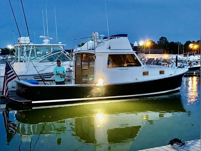 Listing image 1083083