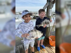 Two young boys proudly display their catch of the day, showcasing the joy of fishing and wildlife interaction at the dock.
