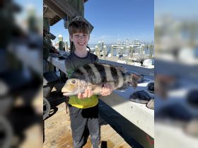 A young boy proudly holds up a large fish he caught, showcasing the excitement of fishing adventures. This moment captures the joy of outdoor activities and family bonding by the water.