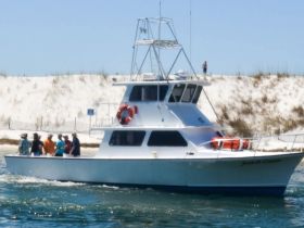 A lively group enjoys a day out on the water aboard a fishing boat, with a beautiful beach backdrop — perfect for family outings or fishing adventures.