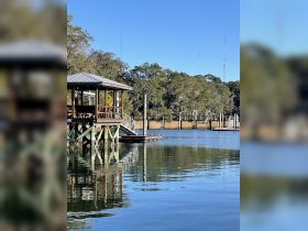 A serene view of a dock and surrounding nature, reflecting calm waters — perfect for those seeking a peaceful boating experience.
