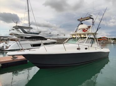Stamas 39 “Majo V”