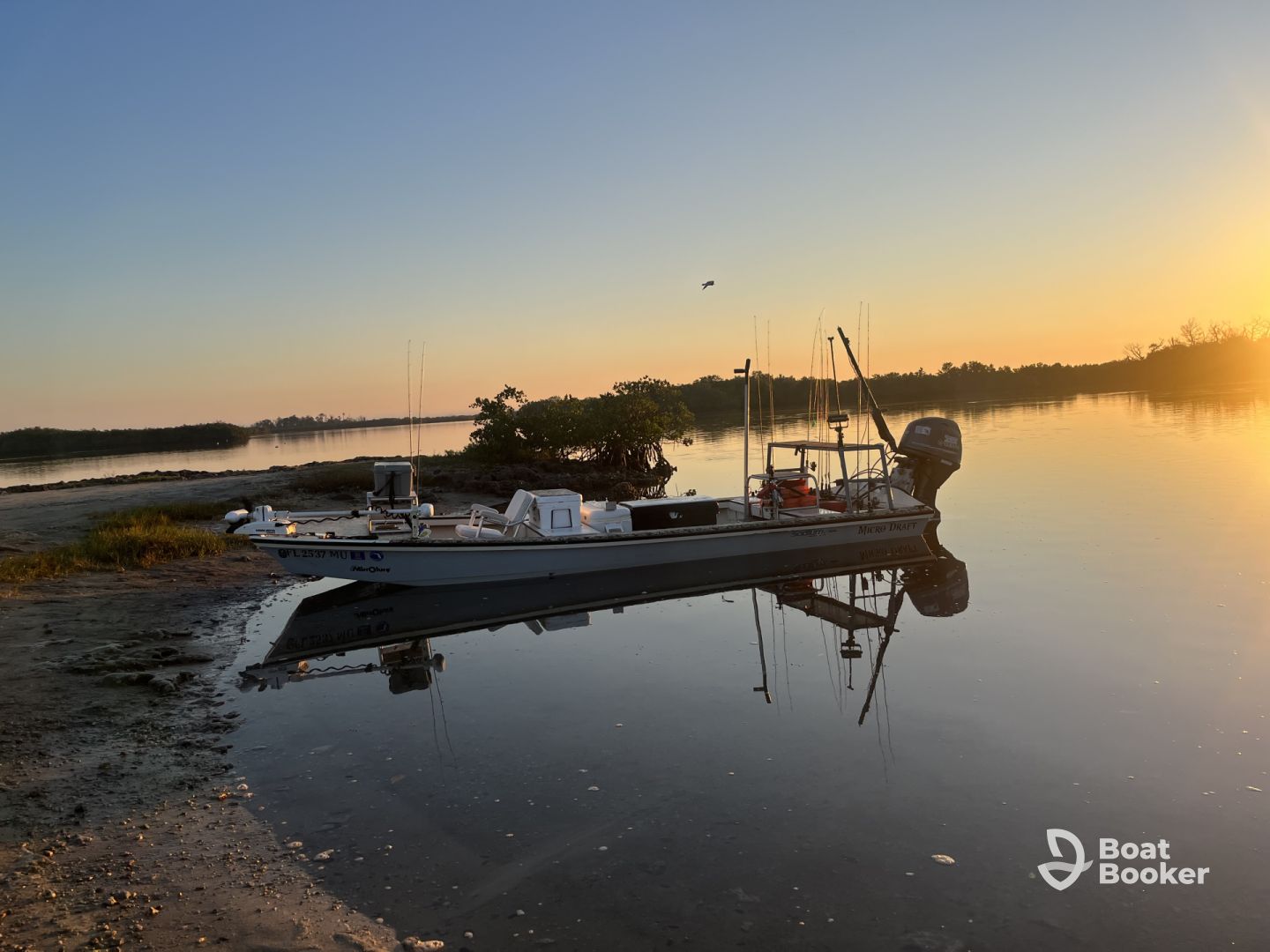 Reel Pressure Fishing & Tours