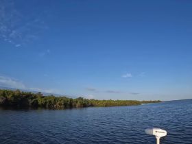 A scenic view of calm waters and mangroves under a clear blue sky, though the image lacks clarity and focus.