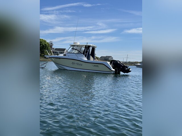 Listing image 1091238