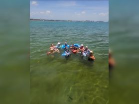 A lively group enjoys a fun day in the water, floating and swimming together — perfect for memorable summer outings and celebrations.