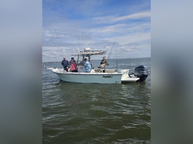 Listing image 1083733