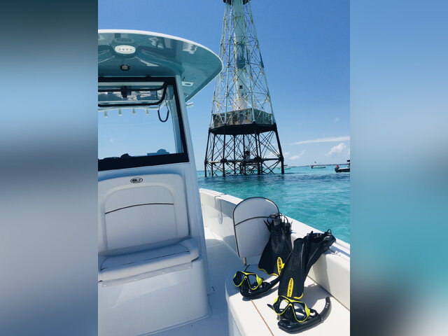Listing image 1120738