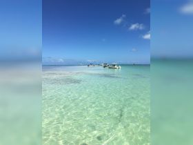 A serene view of several boats anchored in crystal-clear waters, showcasing the beauty of a tropical destination perfect for boating adventures.