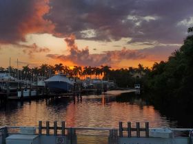 A stunning sunset reflects on the calm waters of a marina, framed by palm trees and boats, creating a picturesque scene perfect for evening cruises.