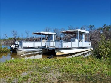 Just Livin The Dream Charters 1 Dolphin Trip