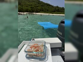 A delicious bowl of fresh ingredients sits on the boat, with a vibrant beach scene in the background, perfect for a day of fun in the sun.