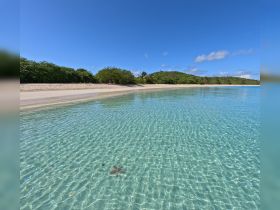 A stunning view of a tranquil beach with crystal-clear waters and lush greenery in the background, perfect for a relaxing getaway or eco-tour.