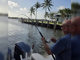 A man enjoys fishing from a boat, showcasing the thrill of on-water activities in a picturesque setting with palm trees and calm waters.
