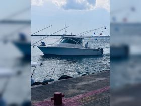 A fishing boat is seen navigating the water, showcasing its sleek design and fishing gear, perfect for a day out on the ocean.