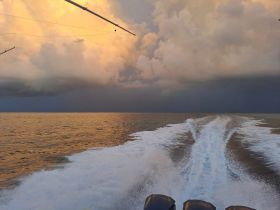 A stunning view of the ocean at sunset, with dramatic clouds reflecting golden hues — perfect for capturing the beauty of a boating adventure.