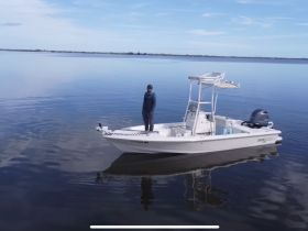 A lone figure stands on a boat gliding across calm waters, showcasing the serene beauty of a day on the water.