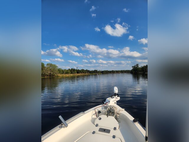 Listing image 1084248
