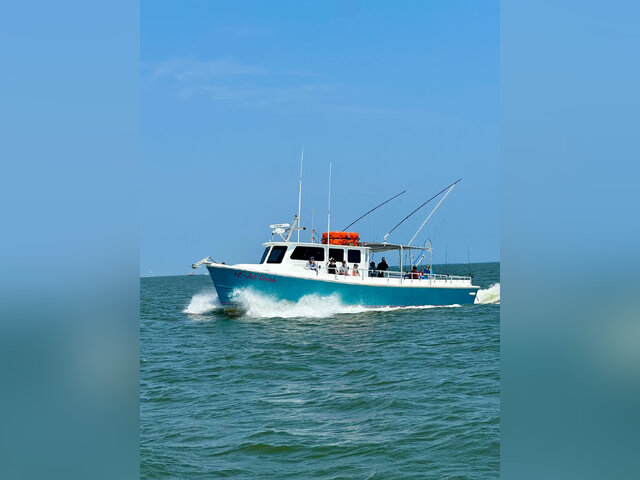 Listing image 1084257