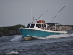 A fishing boat speeds through the water with guests onboard, showcasing an exciting day of fishing adventures.