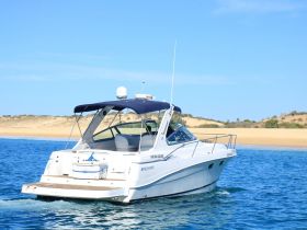 A sleek speedboat cruising through clear waters, showcasing its elegant design against a picturesque sandy backdrop.
