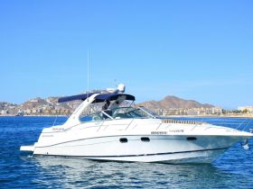 A sleek yacht cruising in clear waters with a picturesque coastal backdrop, perfect for luxury outings and scenic adventures.