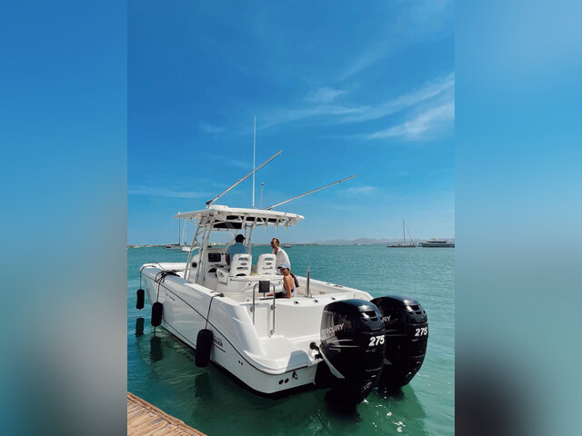 Listing image 1084418