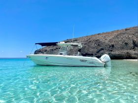 A sleek speedboat anchored in crystal-clear waters, showcasing its elegant design against a stunning coastal backdrop.