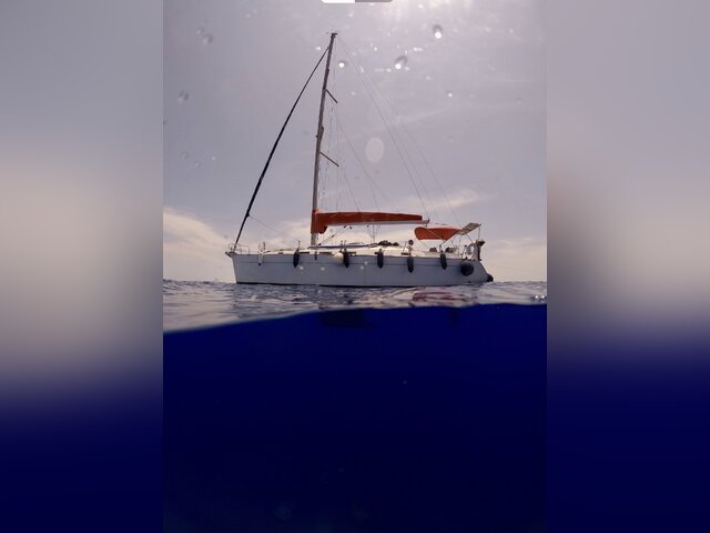 Listing image 1167576