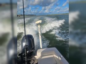 A serene moment captured on a boat with a bird perched on the pole, showcasing the beauty of wildlife interaction while out on the water.
