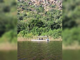 A group enjoys a scenic boat ride through lush greenery, surrounded by stunning rock formations — a perfect adventure in nature.