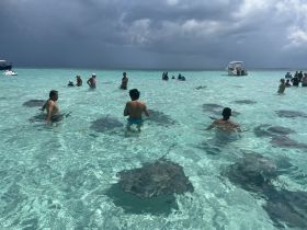 A group of people interacts with stingrays in the crystal-clear waters, showcasing a unique wildlife experience in a tropical setting.