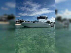 A sleek speedboat anchored in crystal-clear waters, showcasing its elegant design against a backdrop of palm trees and blue skies — perfect for a day of adventure on the water.