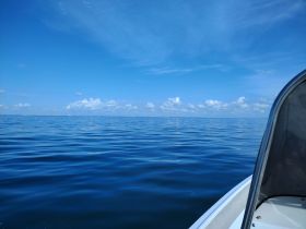 A serene view of a boat navigating through calm waters under a clear blue sky, showcasing the tranquility of a day on the sea.
