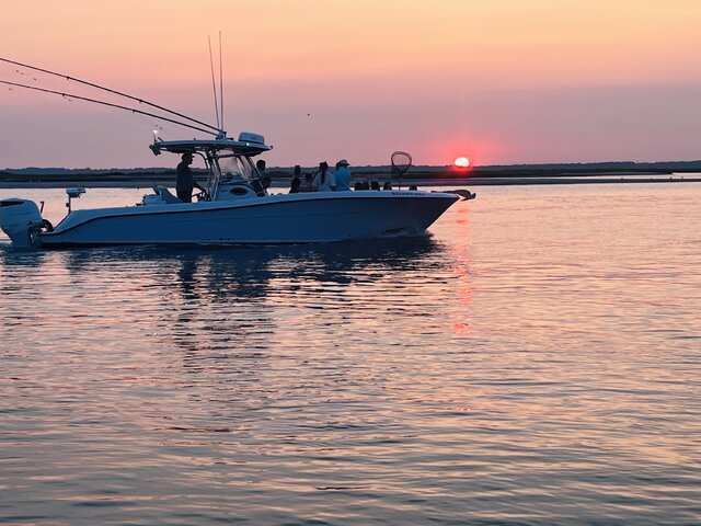 Listing image 1084840