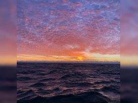 A breathtaking sunset over the ocean, showcasing vibrant colors in the sky — a perfect backdrop for evening boat trips and romantic getaways.