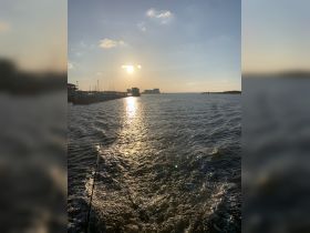 A stunning sunset over the harbor, reflecting on the water, creating a picturesque scene perfect for evening boat trips.