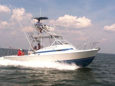 SYL Charters