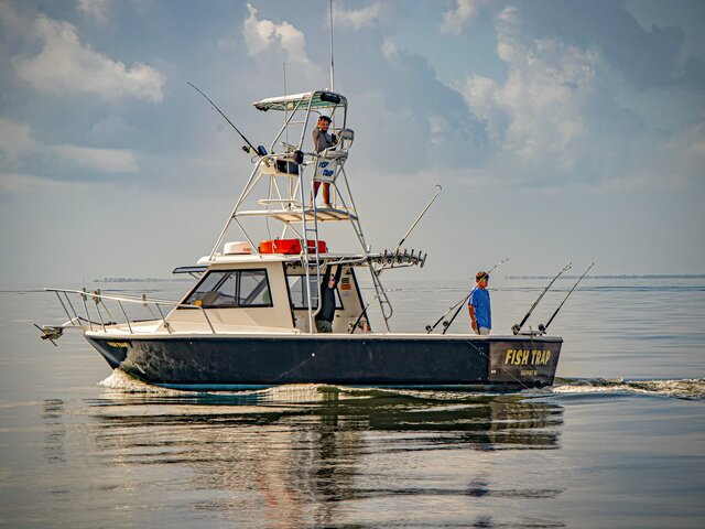 Listing image 1085051