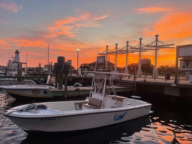 Listing image 1085060