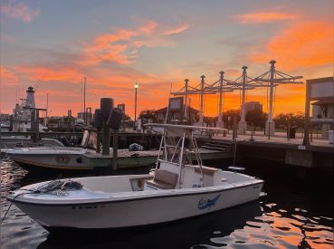 Dailey Charters